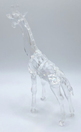 Baby giraf 7603/000/002