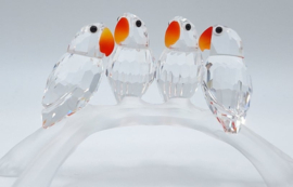 Dwergpapegaaien 7621/000/005