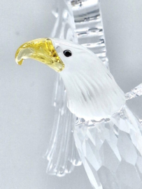 Amerikaanse zeearend 7670/000/002