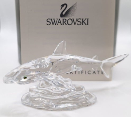 Baby haai 7644/000/007