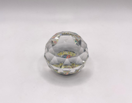 Paradijsvogel plant 9406/040/001