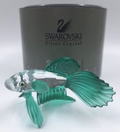 Siamese vechtvis groen 7644/000/006