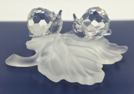 Baby slakken op blad 7550/000/009