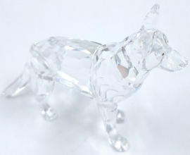 Duitse herdershond 7619/000/007