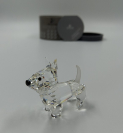 Scotch terriër 7619/000/002