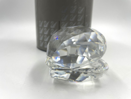 Oester met parel 7624/055/000