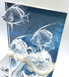 Community jaarstuk 2007 9100/000/044 + plaquette