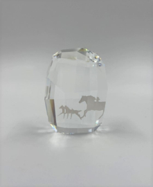 Ledengeschenk 2014 9100/000/458