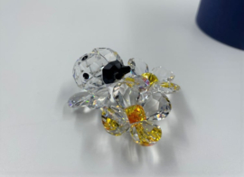 Lieveheersbeestje op bloem 9100/000/035