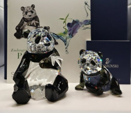 Jaarstuk 2008 - de Panda's 9100/000/086