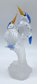 IJsvogels 7621/000/010