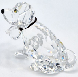 Hond Sint Bernard 7619/000/006