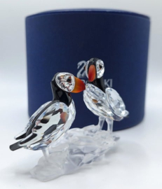 Papegaaiduikers 7621/000/008