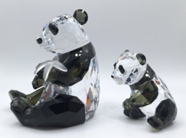 Jaarstuk 2008 - de Panda's 9100/000/086