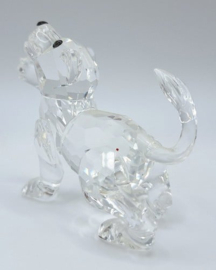 Leeuwenjong 7603/000/001