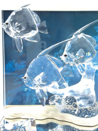 Community jaarstuk 2007 9100/000/044 + plaquette