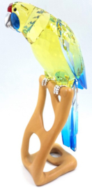 Geelbuik Rosella 9600/000/085