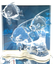 Community jaarstuk 2007 9100/000/044 + plaquette