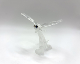 Waterjuffer / libelle nummer 7615/000/004