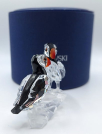 Papegaaiduikers 7621/000/008