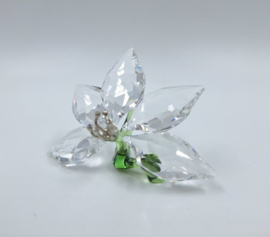 SCS 2013 orchidee 9100/000/399