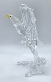 Amerikaanse zeearend 7670/000/002