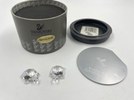 2 baby schildpadden 7632/000/002