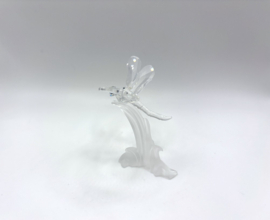 Waterjuffer / libelle nummer 7615/000/004