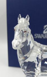 Merrie / paard 9100/000/045