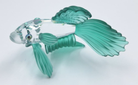 Siamese vechtvis groen 7644/000/006