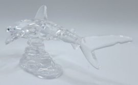 Baby haai 7644/000/007