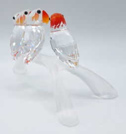 Dwergpapegaaien 7621/000/005