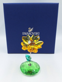 Bloem Joy 9400/000/248