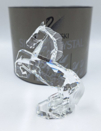 Paard, witte hengst 7612/000/001