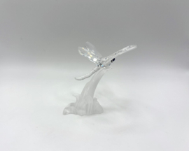 Waterjuffer / libelle nummer 7615/000/004