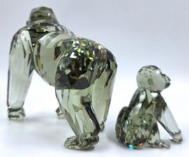 Jaarstuk 2009 - Gorilla's 9100/000/117