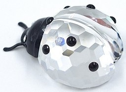 Lieveheersbeestje 7604/000/001