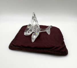 Donkergele orchidee 7478000002