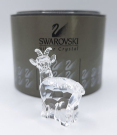 Zodiac geit 7693/000/003