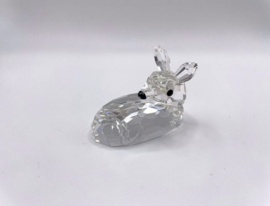 Hertenjong 7608/000/001