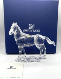 Merrie / paard 9100/000/045