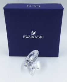 SCS amur bloem 5428547