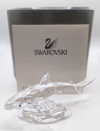 Baby haai 7644/000/007