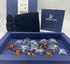 15 mini zeesterren 7400/200/503