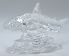 Baby haai 7644/000/007