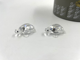 2 baby schildpadden 7632/000/002