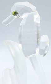 Zeepaardje 7614/080/000