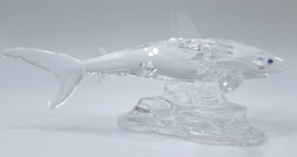 Baby haai 7644/000/007