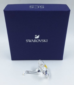 SCS wild flower 5244642