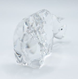 Zodiac neushoorn 7610/000/006